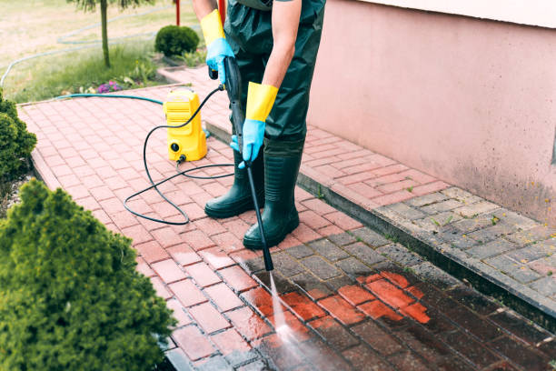 Best Driveway Pressure Washing in Siesta Acres, TX